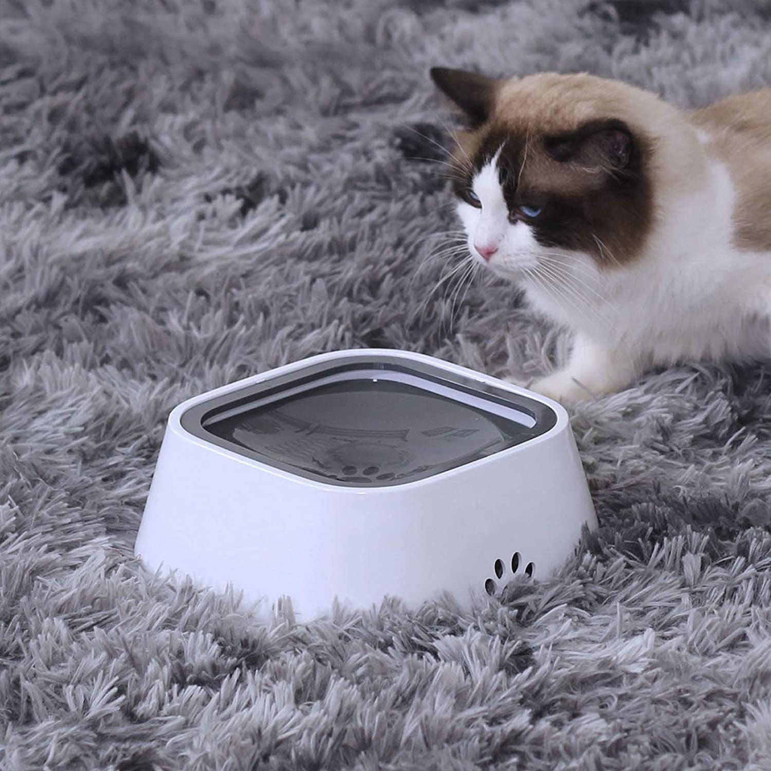 No-Spill Pet Water Bowl